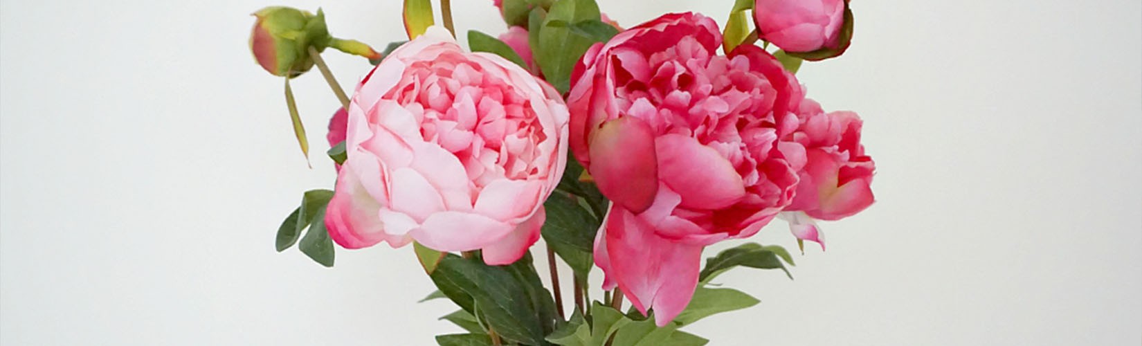 Our Guide To The Best Spring Summer Flowers 2019