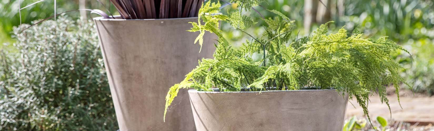 Choosing the Best Material for Your Plant Pots & Styles to Try in Your Home