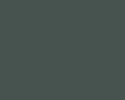 Farrow and Ball 35 Chine Green