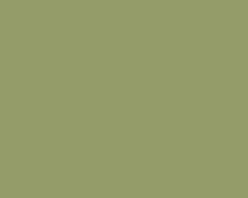 Farrow and Ball 13 Olive