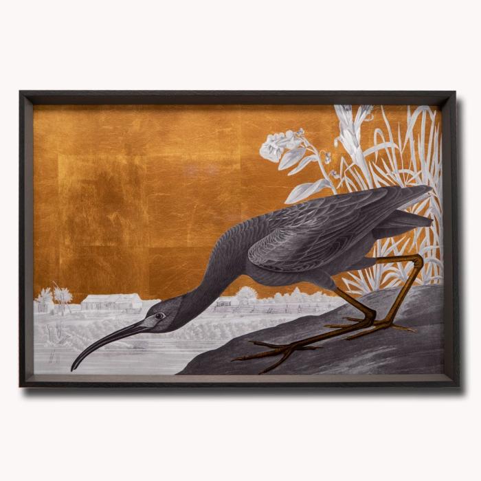 Pavilion Art Glossy Ibis Luxe - Framed Print 77 x 52cm 1