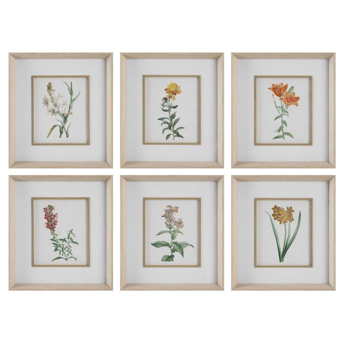 Uttermost Classic Botanicals Framed Prints Set/6 1