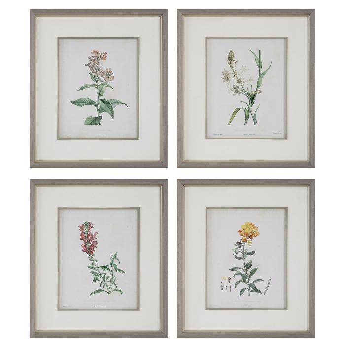 Uttermost Heirloom Blooms Study Framed Prints Set/4 1