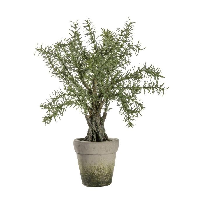 Pavilion Chic Artificial Potted Rosemary Tree H.43cm 1