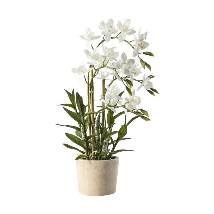 Pavilion Chic Artificial Orchid Cycnoches in Pot H.56cm 1