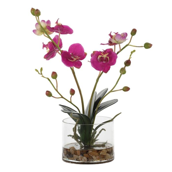 Uttermost Glory Fuchsia Orchid 1