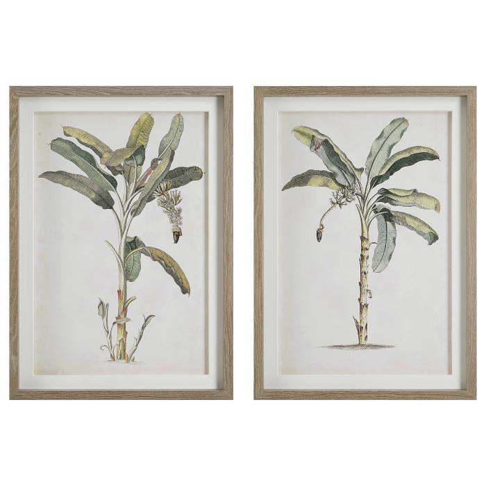 Uttermost  Banana Palm Framed Prints, Set/2 1