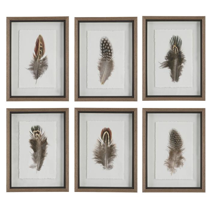 Uttermost  Birds Of A Feather Framed Prints, S/6 1