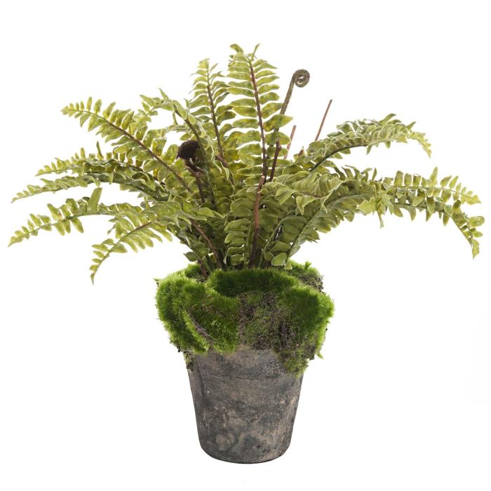 Pavilion Flowers Artificial Boston Fern Potted Green Height 30cm 1