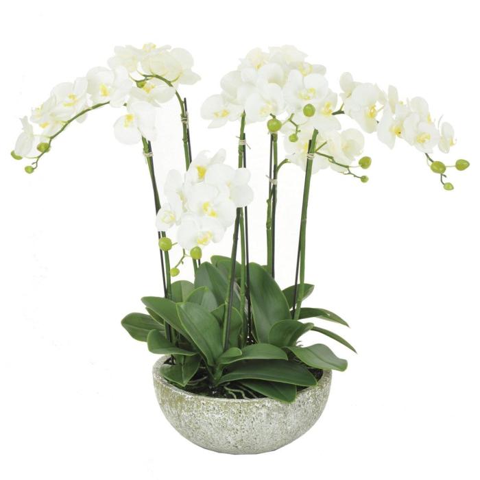 Artificial Orchid Potted White H61cm 1