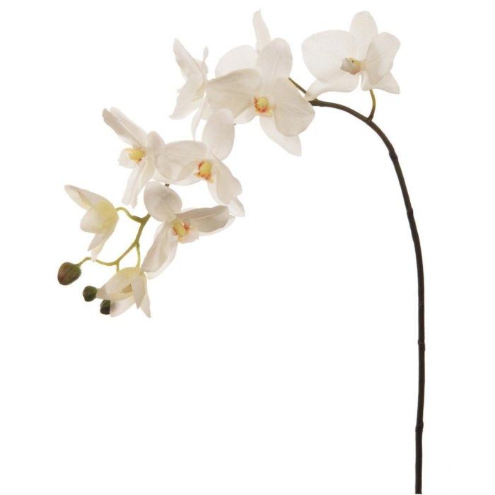 Pavilion Flowers Artificial Phalaenopsis Cream Height 75cm 1