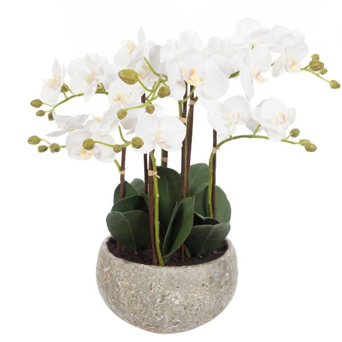 Pavilion Flowers Artificial Phalaenopsis in Clay Pot White H.47cm 1