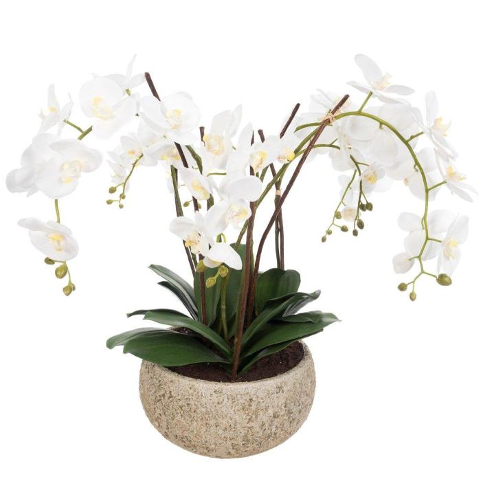 Pavilion Flowers Artificial Phalaenopsis in Clay Pot White H.75cm 1
