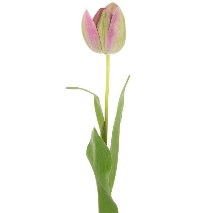 Pavilion Flowers Artificial Tulip Green/Pink H.53cm 1