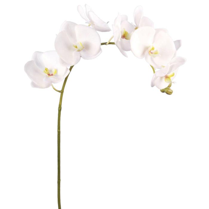 Pavilion Flowers Artificial Phalaenopsis Stem White H.74cm 	 1