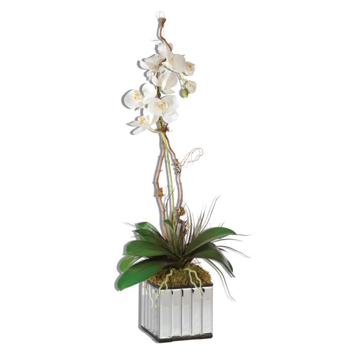 Uttermost  White Kaleama Orchids 1