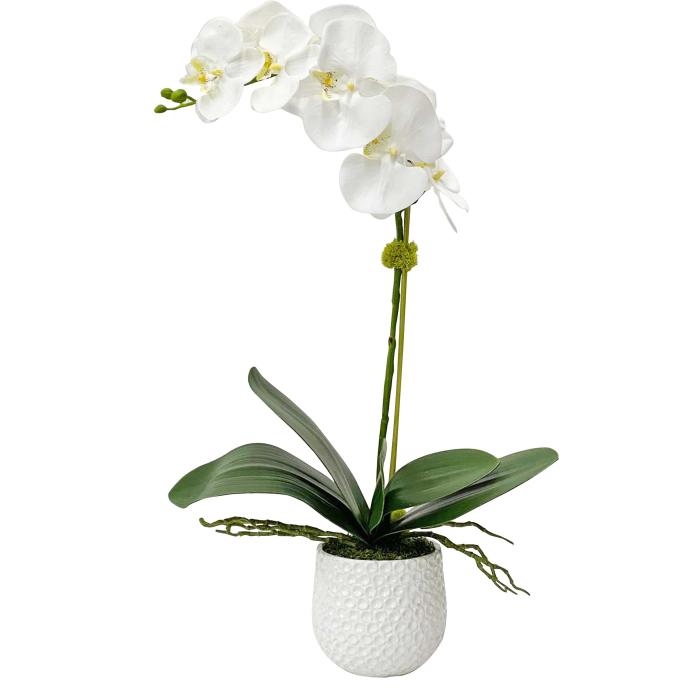Uttermost  Cami White Orchid 1