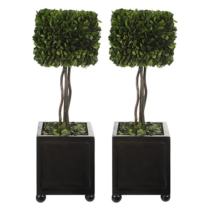 Uttermost  Preserved Boxwood Square Topiaries, S/2 1