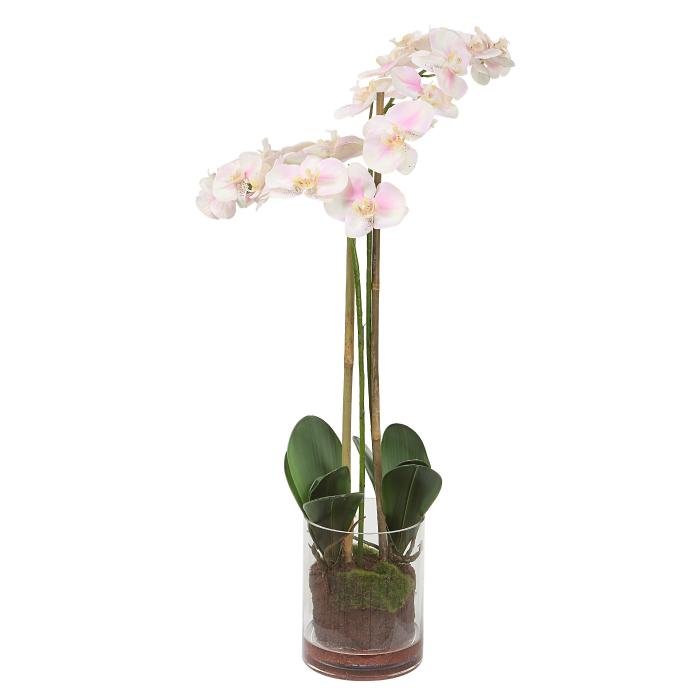 Uttermost  Blush Pink And White Orchid 1