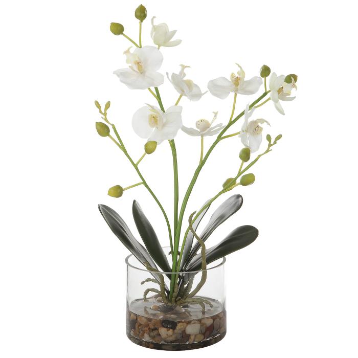 Uttermost  Glory Orchid 1