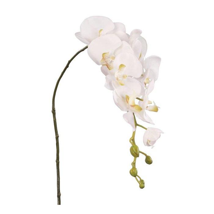 Pavilion Flowers Artificial Phalaenopsis Cream Height 125cm 1