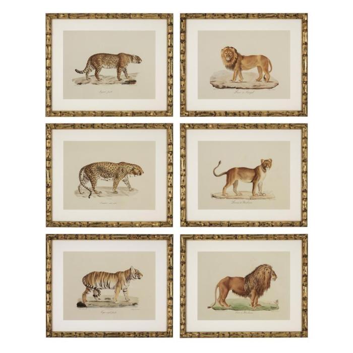 Eichholtz Prints Lion, Tigre, Jaguar set of 6 1