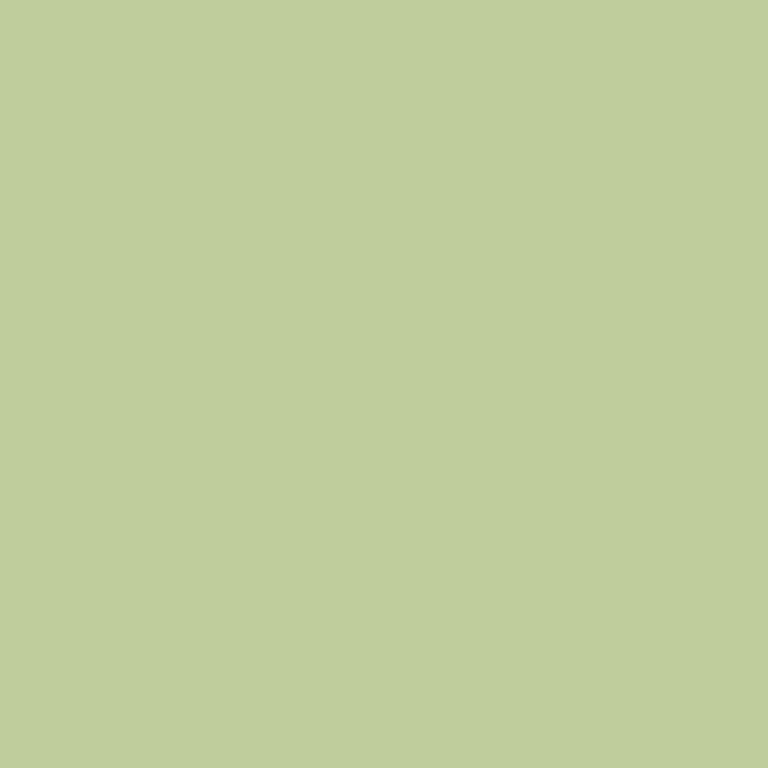 Farrow and Ball Cooking Apple Green No. 32 1