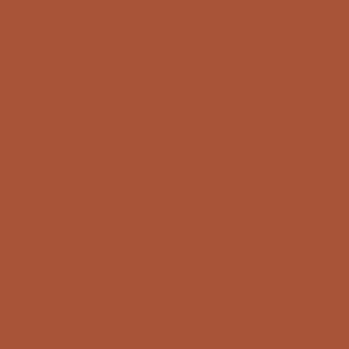 Farrow and Ball Red Earth No. 64 1