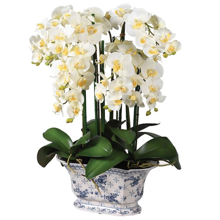 Pavilion Flowers Phalaenopsis Orchid in Chinoiserie Pot 1