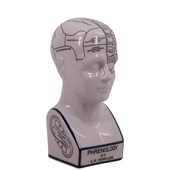 Authentic Models Phrenology Head - Small 1