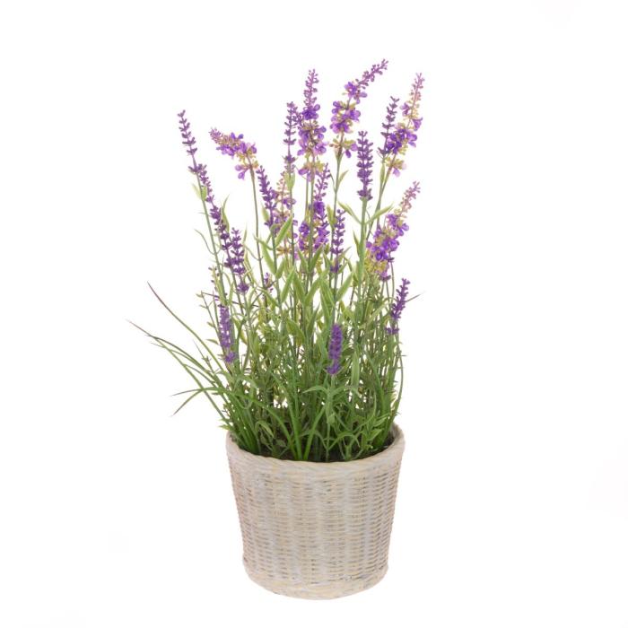 Lavender Plant in Ceramic Pot H.48cm 1