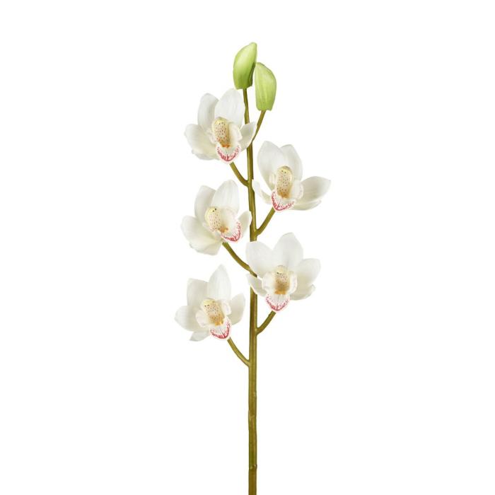 Parlane Orchid Cymbidium Stem Height 82.5cm 3