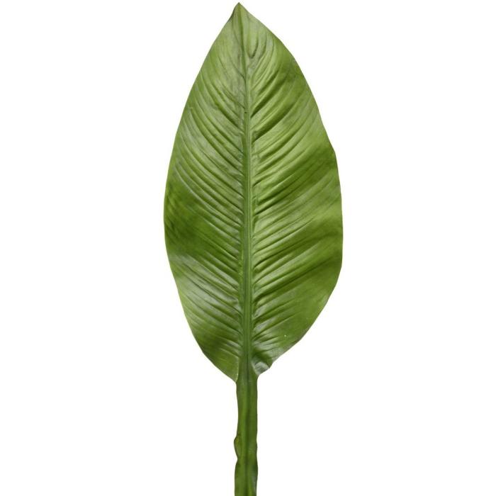 Parlane Strelitzia Leaf Height 86cm 1