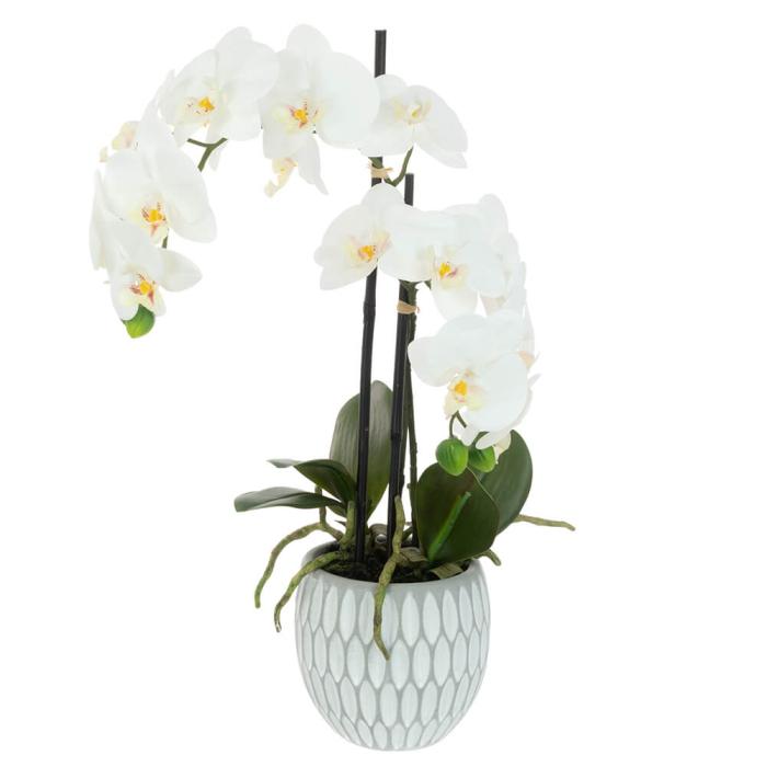 Pavilion Flowers Artificial Orchid x 2 in Geo Pot H48cm 1