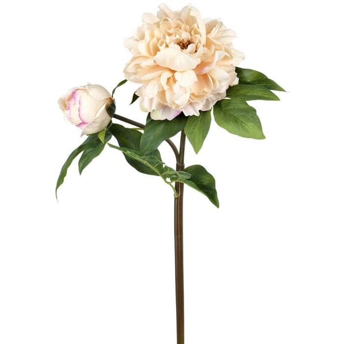Parlane Peony Real Touch Peach H.56cm 1