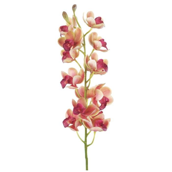 Pavilion Flowers Cymbidium Orchid Princess H. 78cm 1