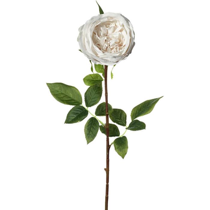 Parlane Rose Stem Lora Real Touch White H.71cm 1