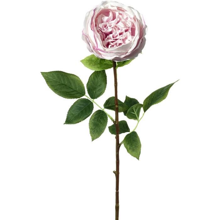 Parlane Rose Stem Lora Real Touch White/Pink H.71cm 1