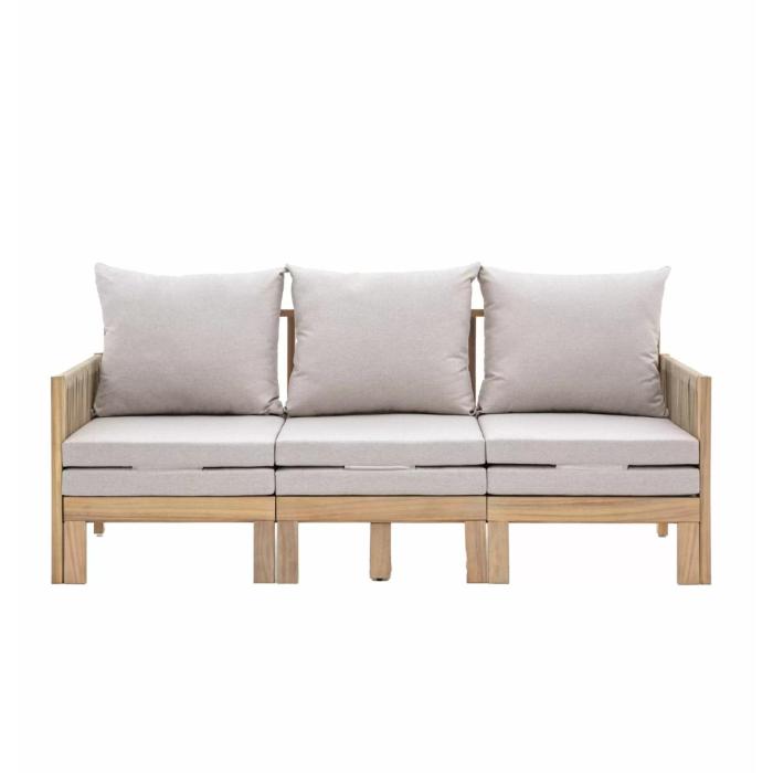 Pavilion Chic Aire Pull Out Sofa 1