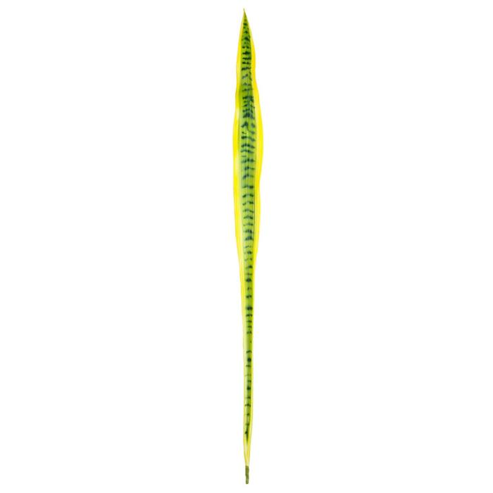 SIA Sansevieria Leaf Green/yellow Height 111cm 1