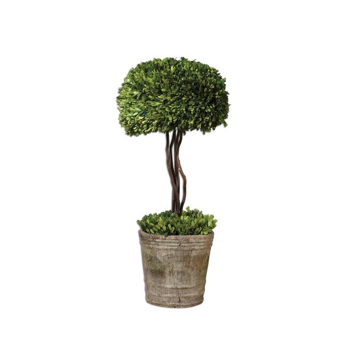 Uttermost  Tree Topiary Preserved Boxwood 1