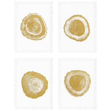 Gold Foil Tree Ring Prints Set of 4