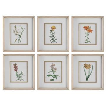  Classic Botanicals Framed Prints Set/6