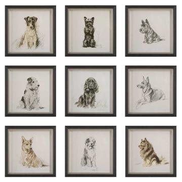 Loyal Companion Framed Dog Prints, Set of 9