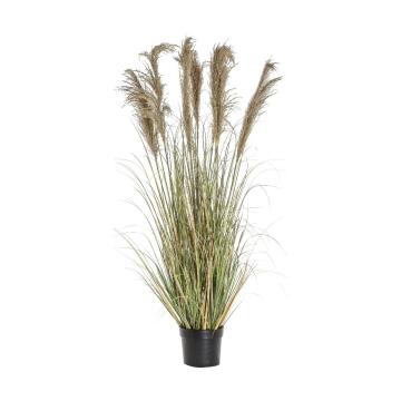 Artificial Pampas Grass in Pot H170cm