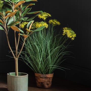 Potted Grass Green/Yellow H.96cm
