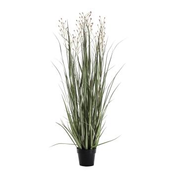Potted Grass Green/Russet H.155cm