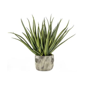 Aloe in Pot w/Bark Effect H.153cm