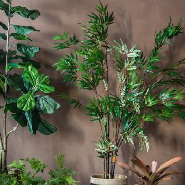 Bamboo in Pot H.152cm