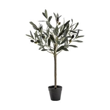 Olive Tree Small H.60cm